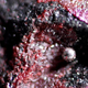Illustration for article titled Red mercury is the coolest substance that never existed